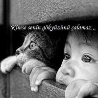 TCÖzgürceDüşünce 🇹🇷 (@ozgurcedusunce) Twitter profile photo