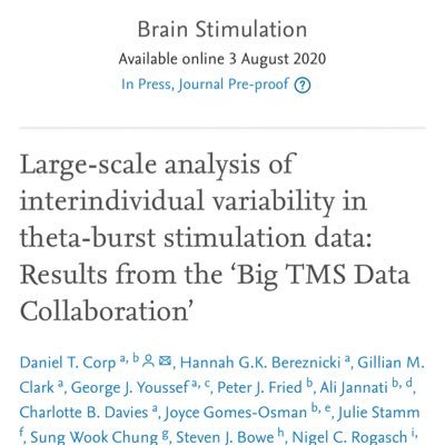 The Big TMS Data Collaboration utilises analysis of large-scale individual participant data to investigate interindividual response variability to TMS.