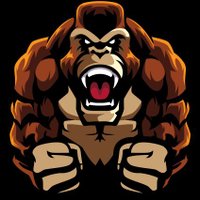 Kong Armor(@kong_armor) 's Twitter Profile Photo