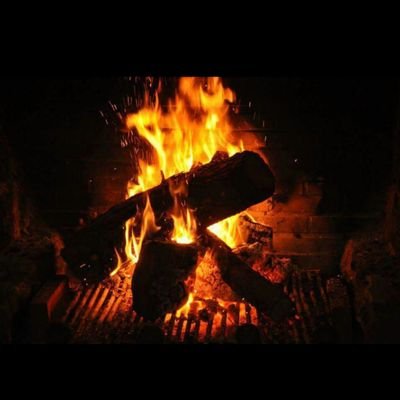 Toni57554885's profile picture. 