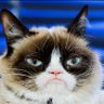 Lau_Cmho's profile picture. Nerd de sentimientos profundos