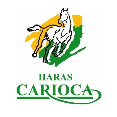 ¡Bienvenidos al Twitter oficial de @HarasCarioca! 💚💛 Criando campeones para Chile y el mundo desde 1992. 👇 En el link, el catálogo de nuestro #Remate2024