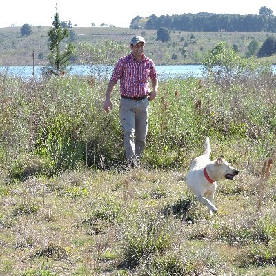 LuisMatonte's profile picture. 