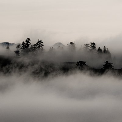 KieranLowe19's profile picture. Just a fly guy, got a few screws loose