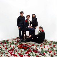 Exploding Flowers (@explodingflower) 's Twitter Profile