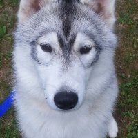 tara bennett (@tbennett1213) 's Twitter Profile