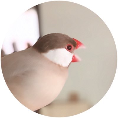 サメ映画さんのプロフィール画像