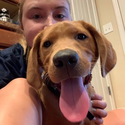 mrsmorton209's profile picture. NCTHS Computer Science Teacher