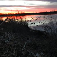 Wayne Lindsey (@wayneli37976427) 's Twitter Profile