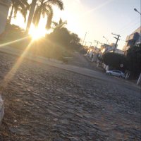 Carlos reis (@carlosr55718480) 's Twitter Profile