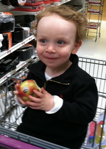 MoreGluckBell's profile picture. 