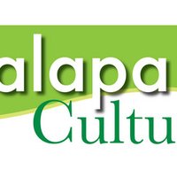 Xalapa Cultural(@xalapacultural) 's Twitter Profile Photo