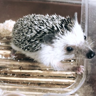 つちさんのプロフィール画像