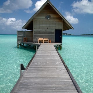 Marythoner1's profile picture. 