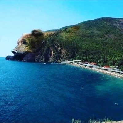 info78598314's profile picture. 