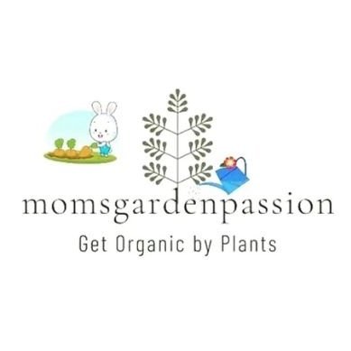 Want to buy plants and garden product online try our https://t.co/yC1bTJ8avo, best plant at reasonable price, corporate gift, office desktop gift, festival