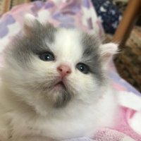 えりちゃん　です えりっくちゃんねるっ！ - YouTube