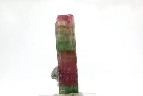 The American Fine Mineral Consortium is dedicated to showcasing the finest gems & minerals from miners & across the U.S. Email afmcgems@gmail.com for inquiries.