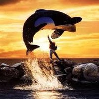 Free The Willy (@freethewillynow) 's Twitter Profile