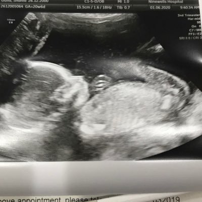 ShaniaGuild1's profile picture. 