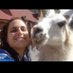 Paola Procaccini (@paoproca) Twitter profile photo Paola Procaccini (@paoproca) Twitter profile photo