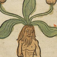 Mandrake✝️🥕🥕(HIATUS) (@mandryke) 's Twitter Profile Photo Mandrake✝️🥕🥕(HIATUS) (@mandryke) 's Twitter Profile Photo