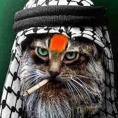 BadeMyaun's profile picture. अखिल भारतीय अध्यक्ष - #ठेलूआ महासंघ|
#TeamHindustan 🇮🇳


झोरी मे झांट ना, सराय मे डेरा 🙏🏻

Equal opportunity offender.



#HinduLivesMatter
Hindu/Hindustani