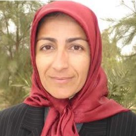 من یک ایرانی آزاده هستم اسم من مریم حسینی برای آزادی وطنم مبارزه کردم وجانم را دراین راه گذاشتم قیمت آزادی مردمم بود.