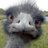 Bradc00's profile image