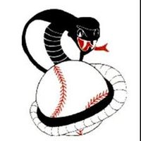 Columbus Cobras 18U (@broskiecobras) 's Twitter Profile