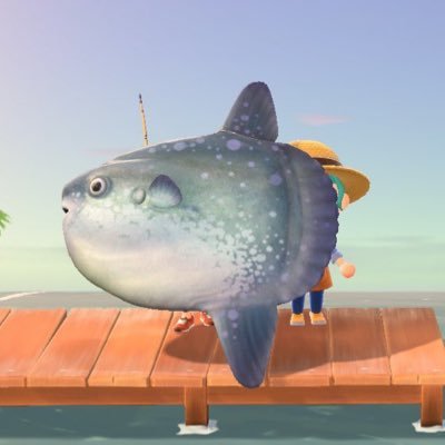 ⑧さんのプロフィール画像