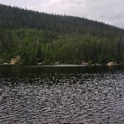 Viclsecl's profile picture. Most fun loving Geek you will ever find!