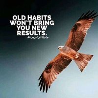 Pemberai Sithole (@pemberaisithole) 's Twitter Profile