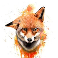 Mike (@mikesfox18) 's Twitter Profile