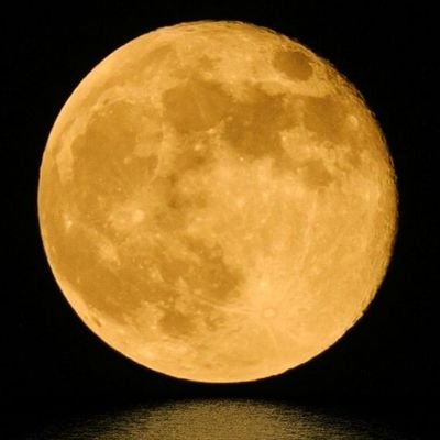 artmodel07's profile picture. 綺麗なモデルさん募集のアカウント