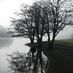 Lake District News (@TheLakeDistrict) Twitter profile photo