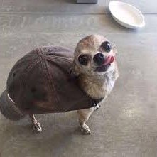 v2_jarvis's profile picture. Wave