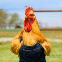 Bret Gilbert (@bubba_lishus69) 's Twitter Profile