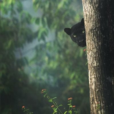 lamar_hk_'s profile picture. Motor and Tech enthusiast, 
Manchester united fan💯