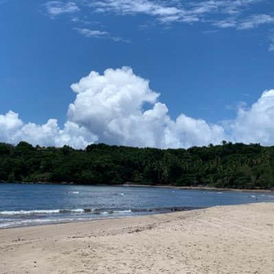 viniciusmf28's profile picture.