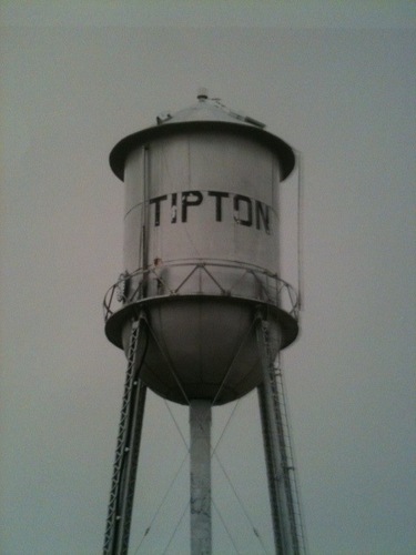 ttipton1's profile picture. Marketing Strategy, Rational Thinking, and Bon Vivant