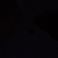 brown (@pikachups69) 's Twitter Profile