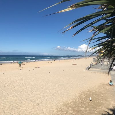 WBG1955's profile picture. Retiree with an avid interest in Australian politics and current affairs world-wide. Thankful for a Federal Labor Govt.