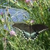 Suntility's profile picture. Renewable Energy Management Services