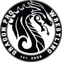 Dragon Pro UK(@UKDragonPro) 's Twitter Profile Photo
