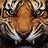NettletonSD's profile image
