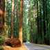 Humboldt County (CA) Issue Polling (@cahumboldt) Twitter profile photo Humboldt County (CA) Issue Polling (@cahumboldt) Twitter profile photo