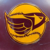 Davison Softball (@softballdavison) 's Twitter Profile
