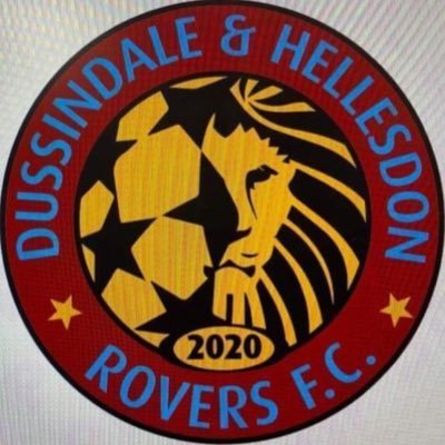 Dussindale and Hellesdon Rovers FC Lions U12s