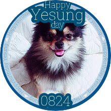 borntobekomin's profile picture. BTOBイルン寄りオール（2017〜）SJイェソン寄りオール（ss６~）。大人ペン。BTOB thisisusコン、ソプミュ、シクソロ参戦。韓国語勉強中。ふらっと渡韓したい💕ゆるく気ままです。大学路の住人と化す🐈